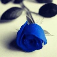 Thắng9xxxxxxxxxx