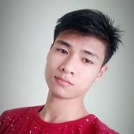 viet nguyen