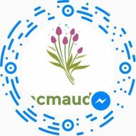 Sắc màu đêm