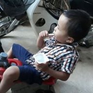tung bo