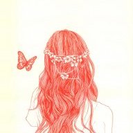 Cải Trắng Đại Hiệp
