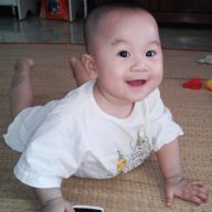 vnzghost