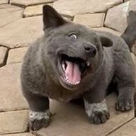 apkhaha