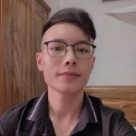 Việt trần